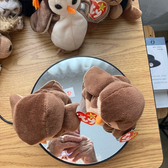 TY BEANIE BABIES  “HOOT” 1995 HANG & TUSH TAGS - BD 8-9-95-#4073 4th GENERATION - Picture 6 of 7